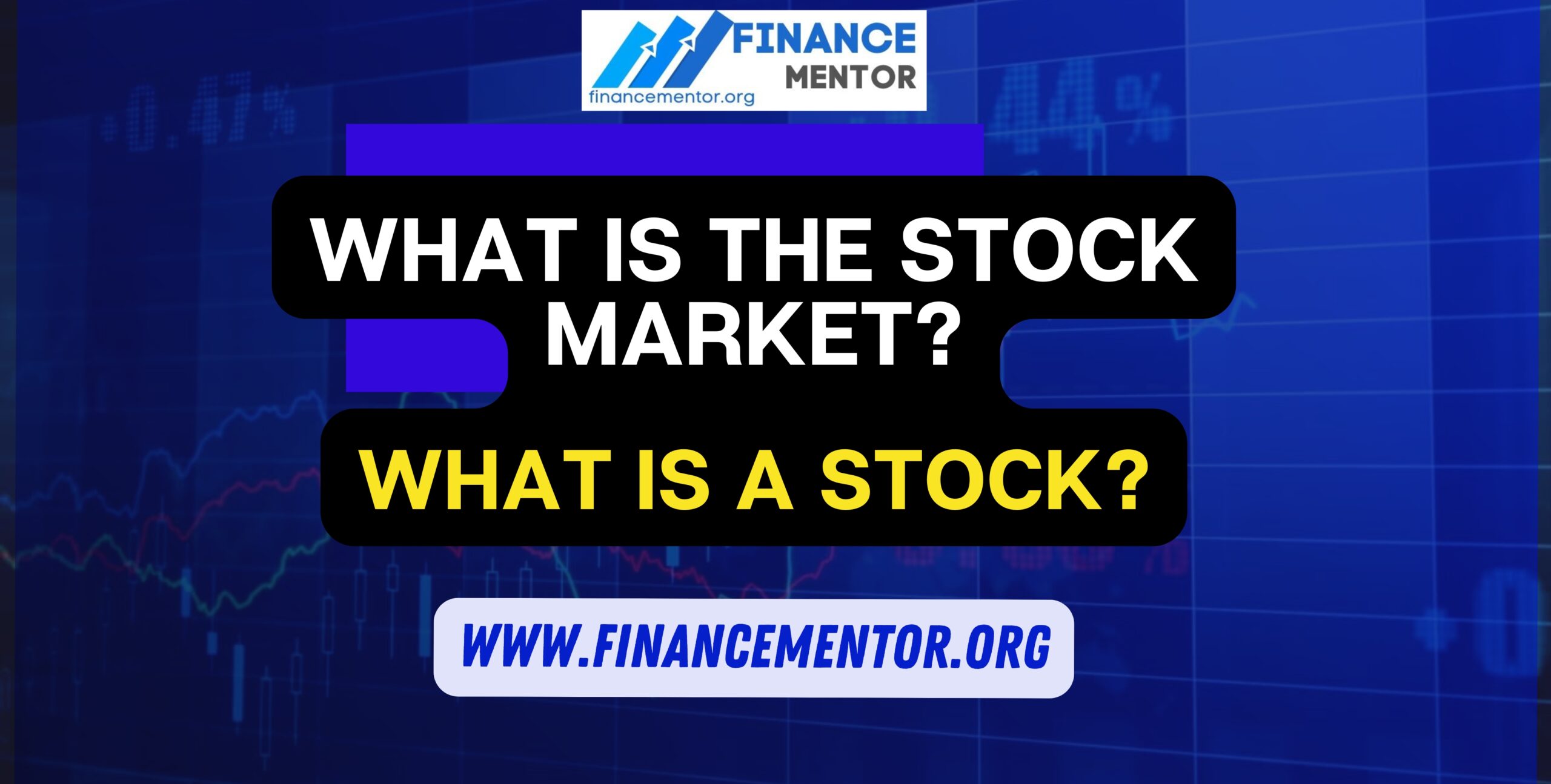 What is the Stock Market